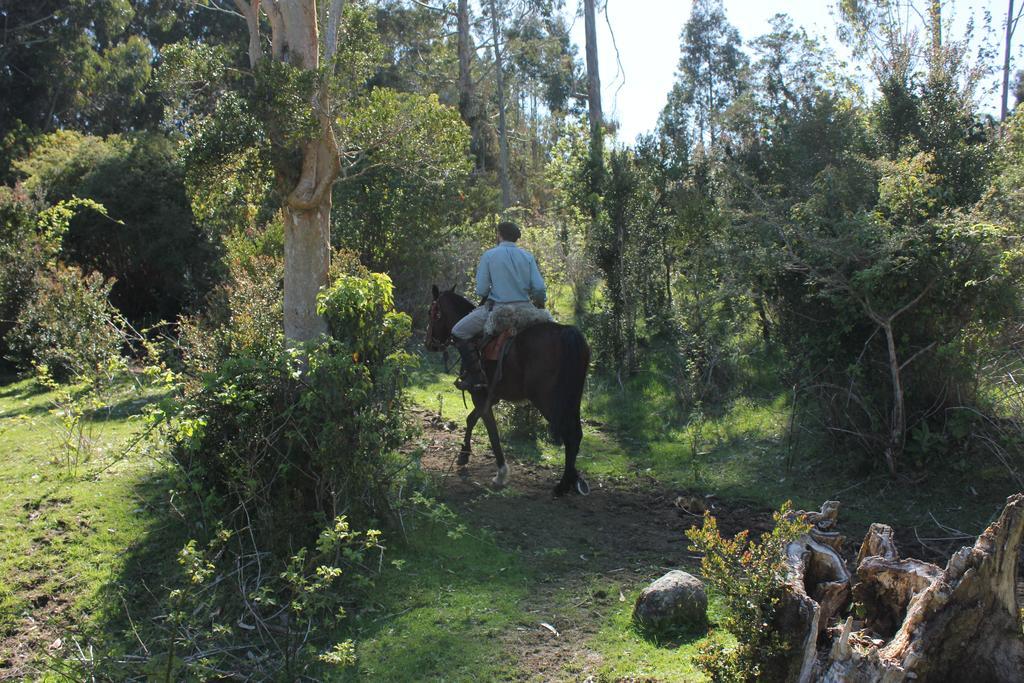Refugio Pullao Hotel Quilquico Kültér fotó